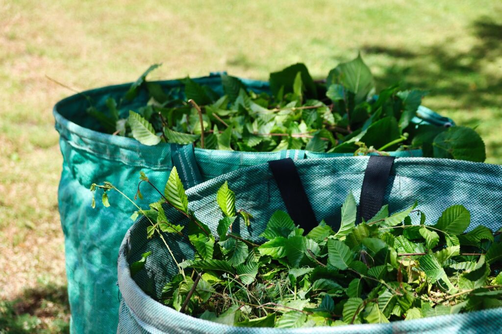 green-stuff-7276322_1280